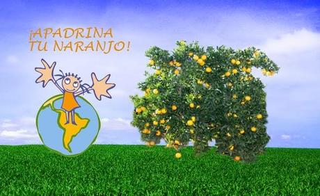 NARANJAS SANTAMARÍA