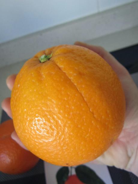 NARANJAS SANTAMARÍA