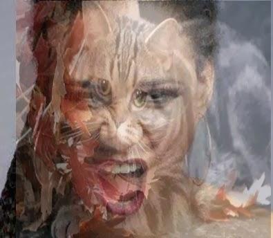 Día internacional del gato; podés creer ?