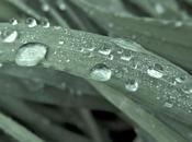 Cómo mantener salvo autoestima buscando empleo