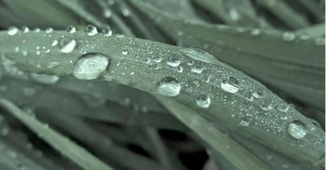 Cómo mantener a salvo la autoestima. Buscando empleo.