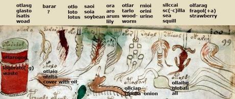 EL SANTO GRIAL DE LA CRIPTOGRAFÍA,EL MANUSCRITO VOYNICH