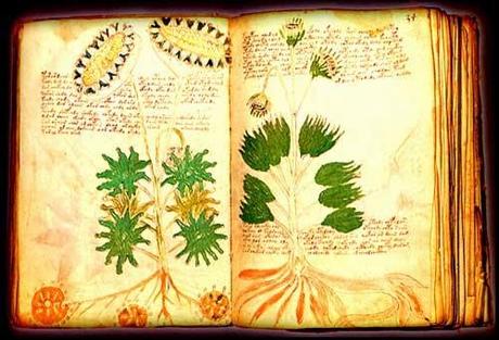 EL MANUSCRITO VOYNICH