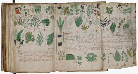 EL SANTO GRIAL DE LA CRIPTOGRAFÍA,EL MANUSCRITO VOYNICH