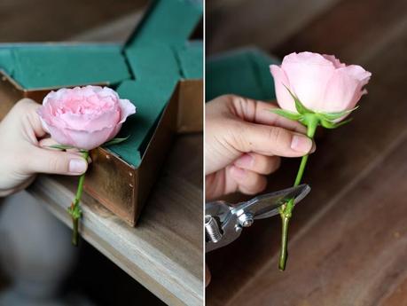 DIY para los que tienen ganas de primavera