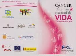 Un banco de pelucas, una idea y un encuentro interdisciplinar