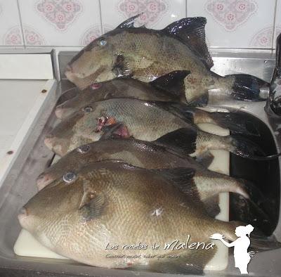 Anisakis. Qué es y cómo prevenirlo.