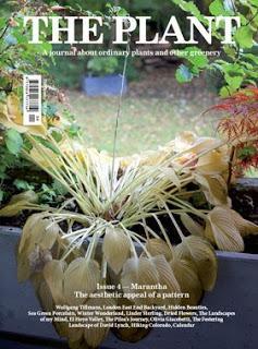 Las revistas son para el verano