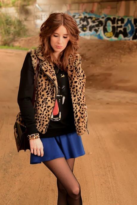 LEOPARD AND BLUE