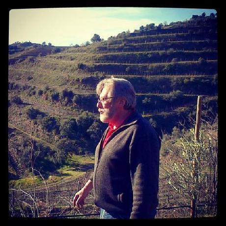 Esos vinos catados en diciembre de 2013: Viños de Encostas - Gatzara - Lo Mur - Rosa la Guapa....