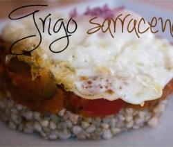 Trigo Sarraceno. sarraceno01