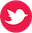 Twitter ”twitter”