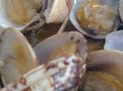 Almejas fritas aperitivo fácil rápido
