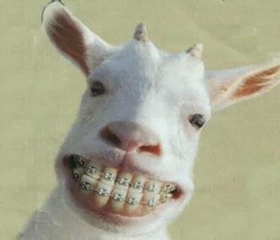 RUMORES #21F Venezuela RUEDALOOOOO