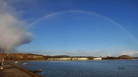 GAVIOTAS VARIADAS Y JÓVENES PAJAREROS