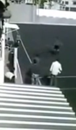 El Juzgado de Purchena condena con 200 euros al individuo que lanzó un perro al árbitro