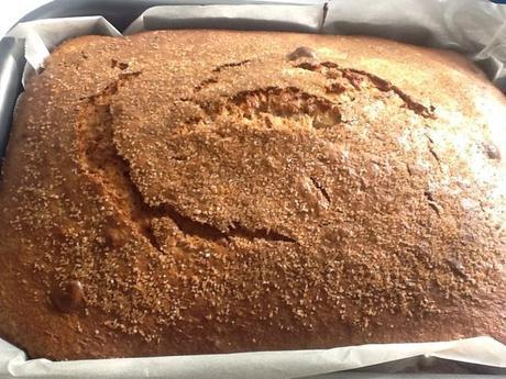 45 BIZCOCHOS PARA ELEGIR