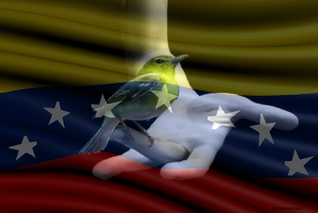 Rumores Militares en Venezuela
