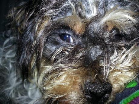 Androidografia Barakaldo 1632