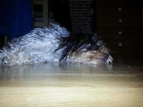 Androidografia Barakaldo 1630