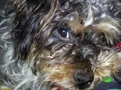 Androidografia Barakaldo CDV. Kenya