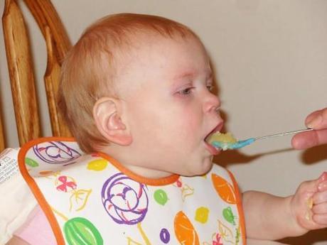 Los alimentos infantiles preparados tienen más verdura y pescado que los alimentos caseros Alimentación de bebés