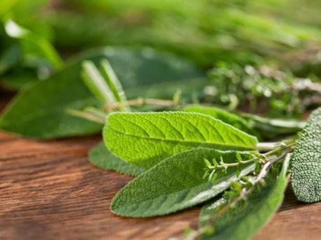 Una alidada de la mujer