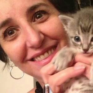 Normal 0 21 false false false ES X-NONE X-NONE /* Style D...