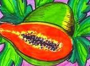 Papaya, ¿natural fermentada?
