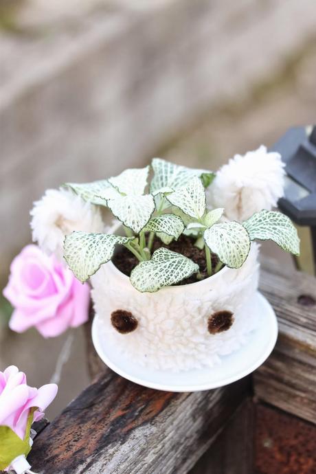 DIY Home - Case Pot cute Kawaii (Funda para maceta cute kawaii)