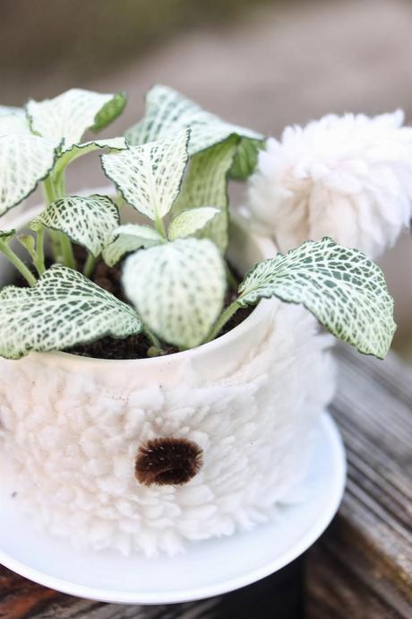 DIY Home - Case Pot cute Kawaii (Funda para maceta cute kawaii)