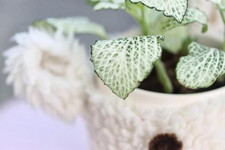 DIY Home - Case Pot cute Kawaii (Funda para maceta cute kawaii)