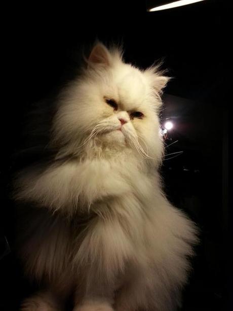 Androidografia Barakaldo 1635