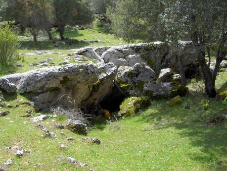 4 Nuevas especies descubiertas en cuevas de Andalucía