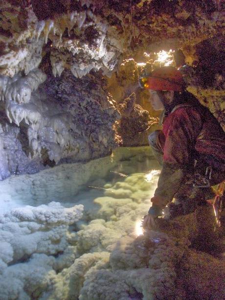 4 Nuevas especies descubiertas en cuevas de Andalucía