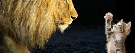 Big_and_Small_Wallpaper_k1y85