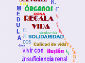 donación vida riñón