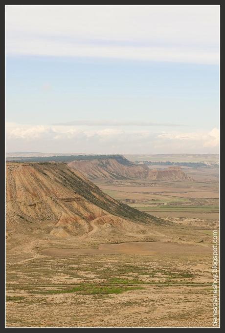 Bardenas Reales