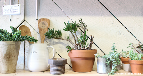 El JuiceBar de moda en New York. Un espacio fresco e inspirador.