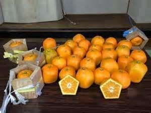 Naranjas Pentagonales, Curiosidades
