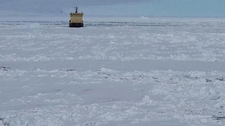 RELEVO DE LA DOTACION 2013 DE BELGRANO II