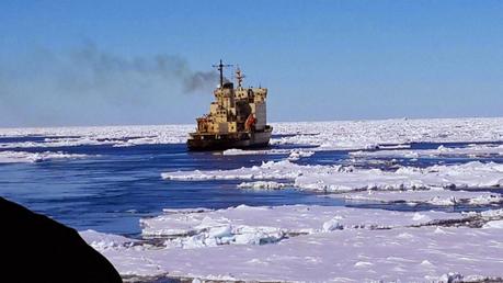 RELEVO DE LA DOTACION 2013 DE BELGRANO II