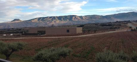 Finca de los Arandinos Finca de los Arandinos