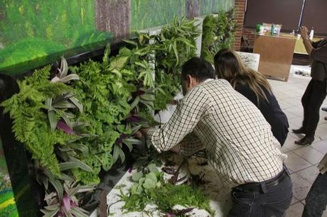 Plantando cuadros vegetales
