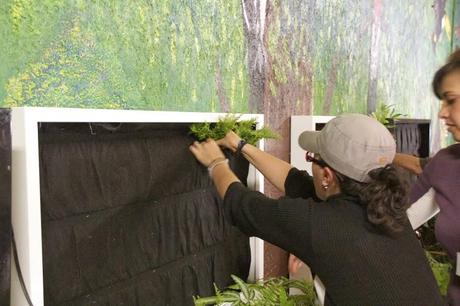 Curso de jardines verticales México