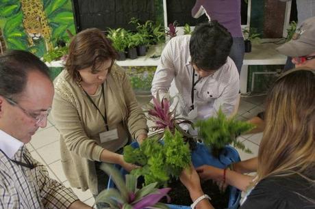 Curso de jardines verticales