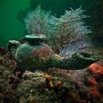 Heracleion Ciudad Egipcia bajo el Mar lost-egyptian-city-11