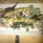 Le Nomade. Una cena en movimiento