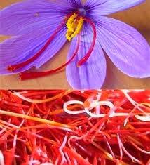 Las especias y sus diferentes propiedades terapéuticas