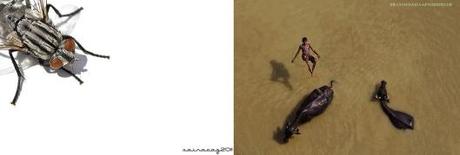 Segundo Zacarías Abad y Tercero Farooq Afzal Farooq